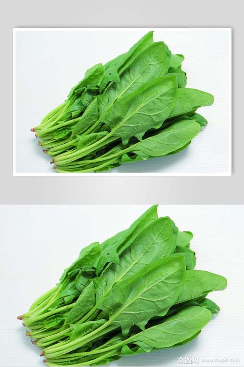 菠菜蔬菜食物摄影图片素材