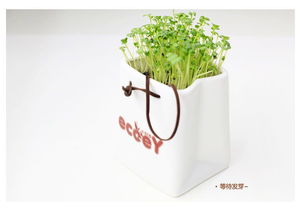 ecoey 创意陶瓷纸袋盆栽花卉栽培盆 广告促销礼品定制 一件代发