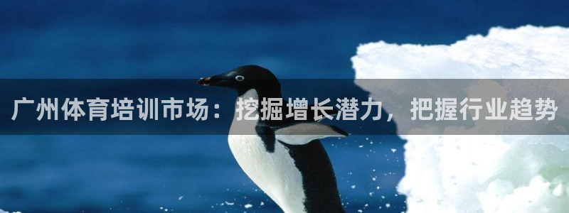 焦点娱乐平台注册账号：广州体育培训市场：挖掘增长潜力