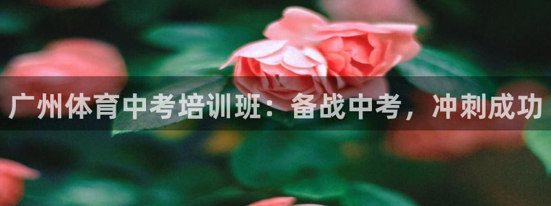 焦点娱乐平台玩法官方导师：广州体育中考培训班：备战中