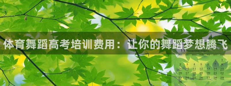 焦点娱乐跨服怎么玩