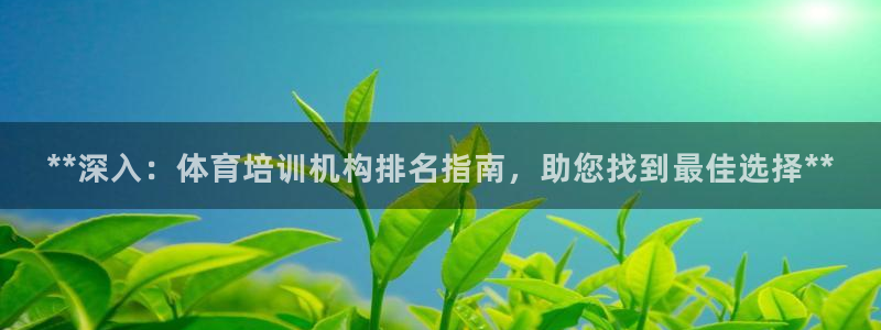 焦点娱乐平台登录不了