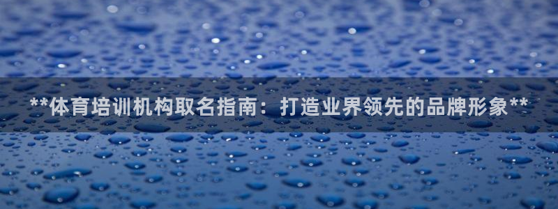 焦点娱乐官方网站下载安装手机版