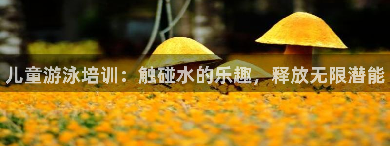 焦点娱乐平台注册账号：儿童游泳培训：触碰水的乐趣，释