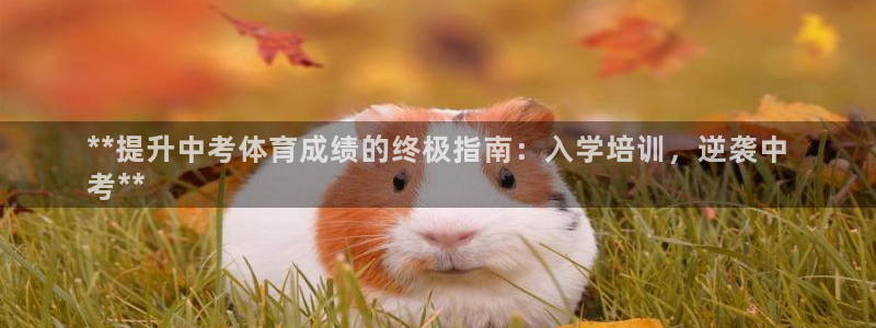 焦点娱乐平台登录不了：**提升中考体育成绩的终极指南