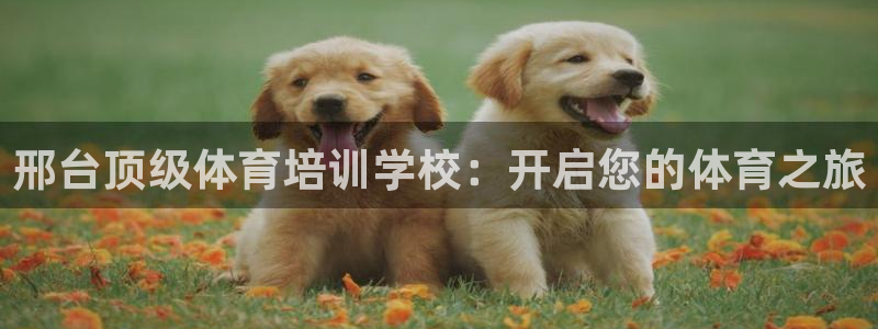 焦点娱乐官网首页入口下载：邢台顶级体育培训学校：开启
