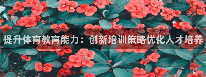 焦点娱乐官网下载：提升体育教育能力：创新培训策略优化