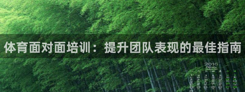 焦点娱乐星白鹿罗云熙在线磕cp：体育面对面培训：提升