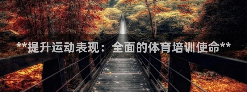 焦点娱乐佳 411O31 焦点：**提升运动表现：全