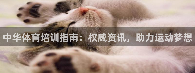 焦点娱乐官网下载：中华体育培训指南：权威资讯，助力运