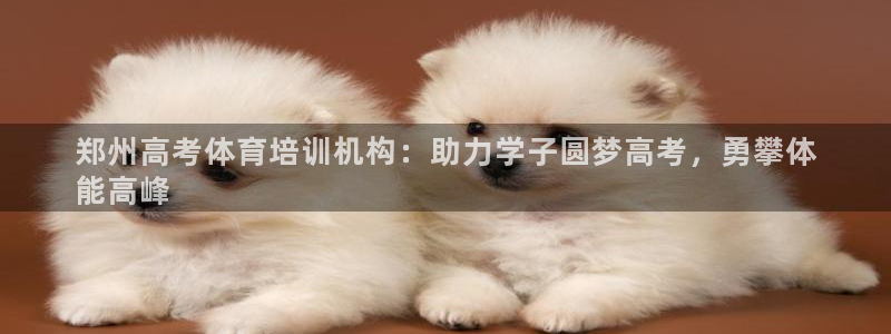 焦点娱乐官网首页入口：郑州高考体育培训机构：助力学子