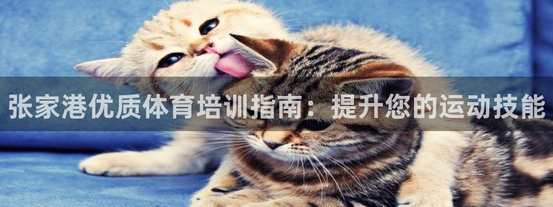 焦点娱乐是哪个公司的品牌：张家港优质体育培训指南：提