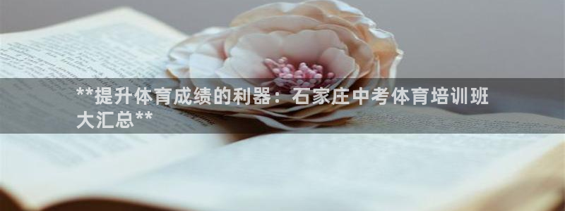 焦点娱乐加速器下载：**提升体育成绩的利器：石家庄中