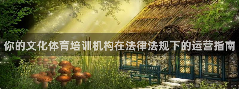 焦点娱乐软件版本区别：你的文化体育培训机构在法律法规