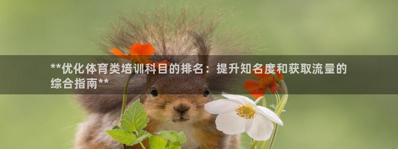 焦点娱乐app下载安装方式是什么：**优化体育类培训