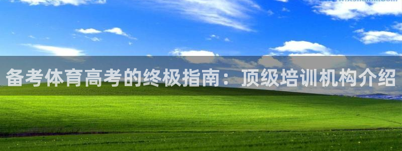 焦点娱乐什么意思：备考体育高考的终极指南：顶级培训机