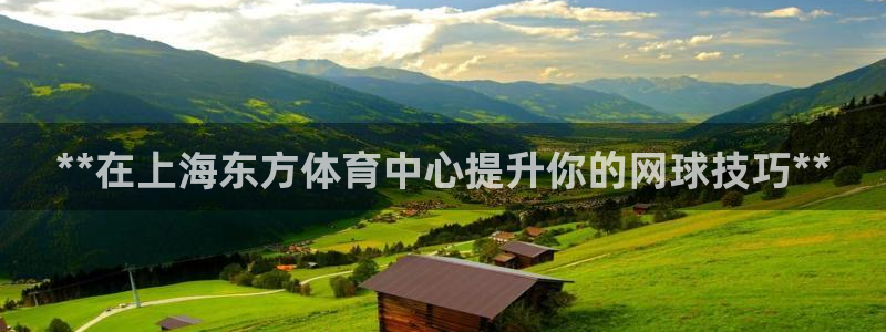 焦点娱乐平台最高待遇：**在上海东方体育中心提升你的
