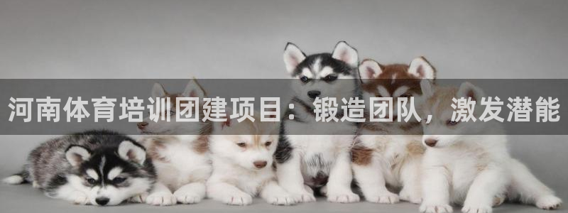 焦点娱乐下载手机版安装：河南体育培训团建项目：锻造团