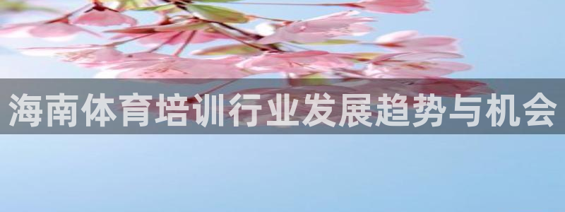 焦点娱乐平台客服：海南体育培训行业发展趋势与机会
