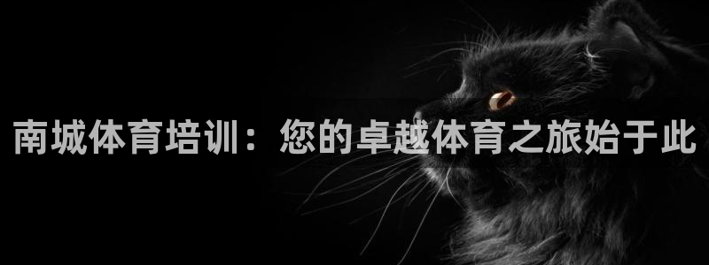 焦点娱乐平台注册账号是什么意思：南城体育培训：您的卓