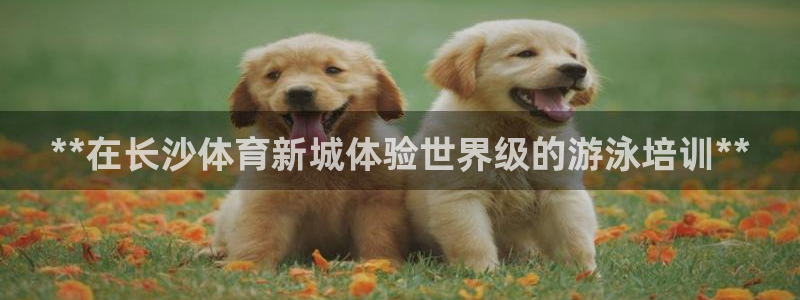 焦点娱乐平台总代理开户怎么样啊：**在长沙体育新城体
