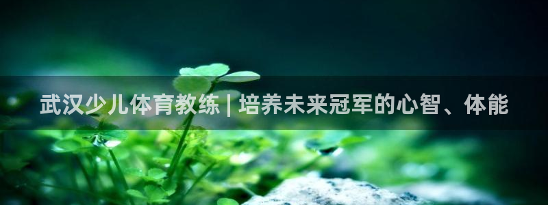 焦点娱乐官方网站下载：武汉少儿体育教练 | 培养未来