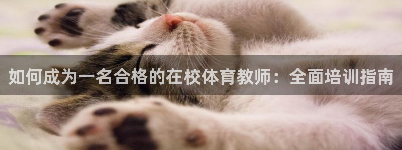 焦点娱乐加速器下载：如何成为一名合格的在校体育教师：