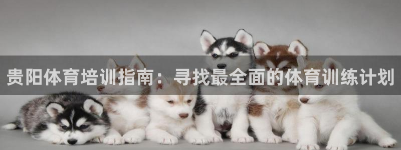 焦点娱乐可以解封银行卡吗是真的吗：贵阳体育培训指南：