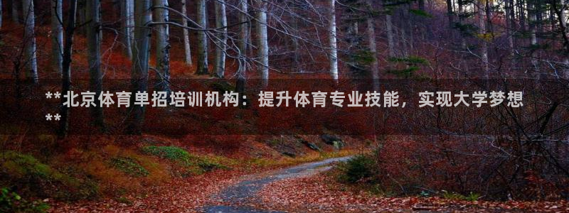 焦点娱乐拉菲：**北京体育单招培训机构：提升体育专业