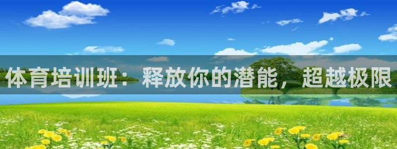 焦点娱乐官网下载苹果：体育培训班：释放你的潜能，超越