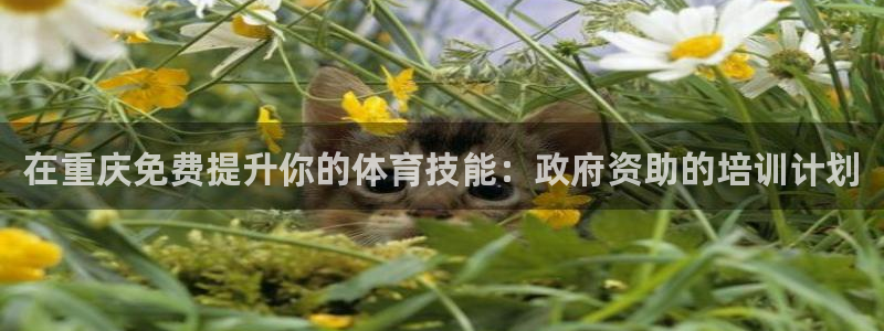 焦点娱乐app下载安装方式是什么：在重庆免费提升你的