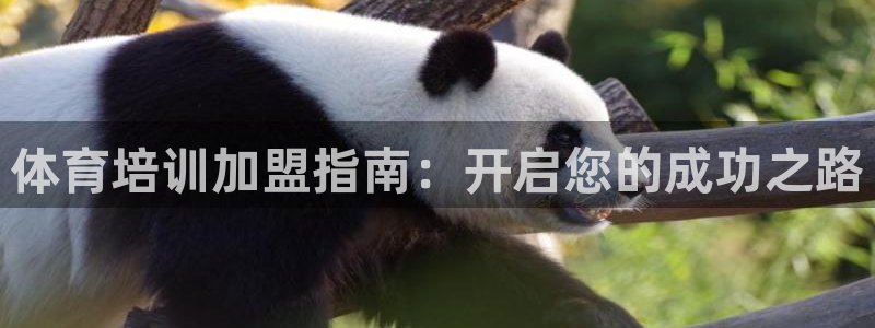 焦点娱乐游戏攻略视频
