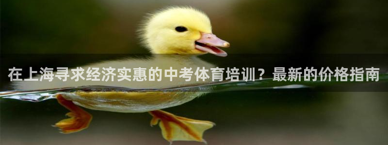 焦点娱乐公司：在上海寻求经济实惠的中考体育培训？最新