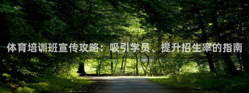 焦点娱乐网站下载地址是多少：体育培训班宣传攻略：吸引