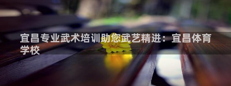 焦点娱乐是什么软件：宜昌专业武术培训助您武艺精进：宜