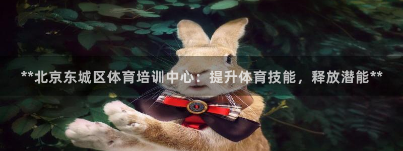 焦点娱乐官方网站入口下载