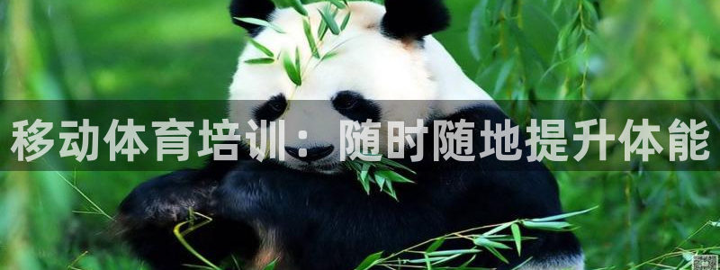 焦点娱乐app下载官网最新版本：移动体育培训：随时随