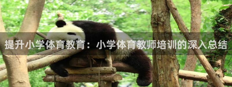 焦点娱乐门徒娱乐骗局：提升小学体育教育：小学体育教师