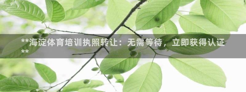 焦点娱乐平台客服电话号码是多少