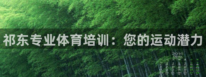 焦点娱乐官方网站下载手机版苹果