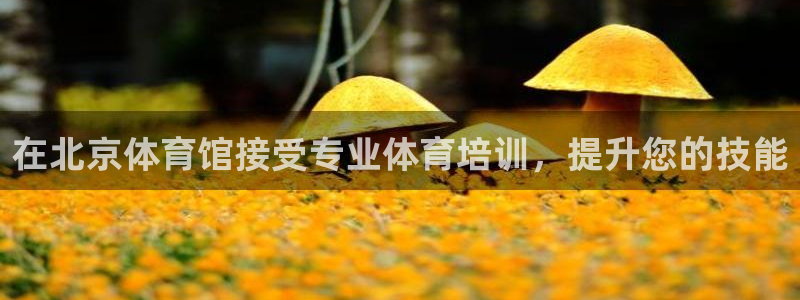 焦点娱乐传媒有限公司官网首页