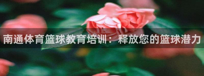 焦点娱乐传媒有限公司招聘电话：南通体育篮球教育培训：