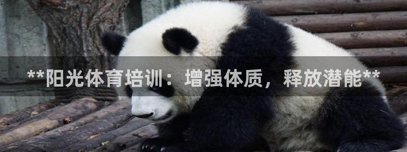 焦点娱乐不出款了吗：**阳光体育培训：增强体质，释放