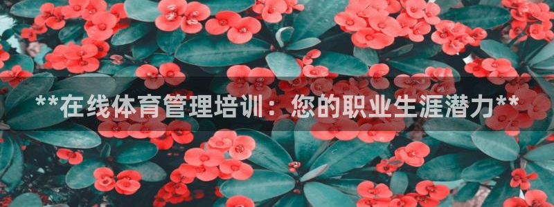 焦点娱乐网站下载地址：**在线体育管理培训：您的职业