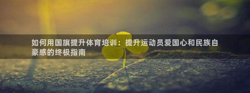 焦点娱乐是哪个公司的产品：如何用国旗提升体育培训：提升运动员