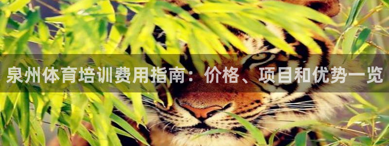 焦点娱乐股东是谁：泉州体育培训费用指南：价格、项目和优势一览