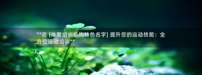 焦点娱乐是哪个公司的：**在 [体育培训机构特色名字
