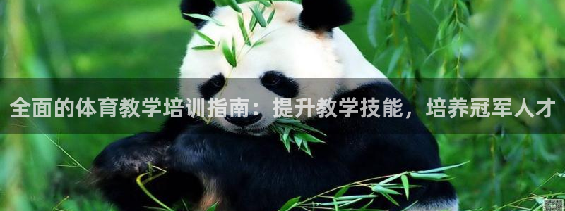 焦点娱乐vs皇族不败神话小说：全面的体育教学培训指南