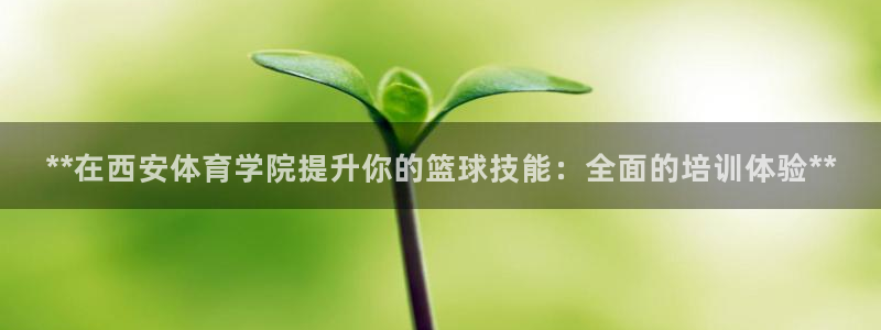 焦点娱乐拉菲：**在西安体育学院提升你的篮球技能：全面的培训