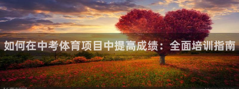 焦点娱乐官方网站入口下载安装：如何在中考体育项目中提